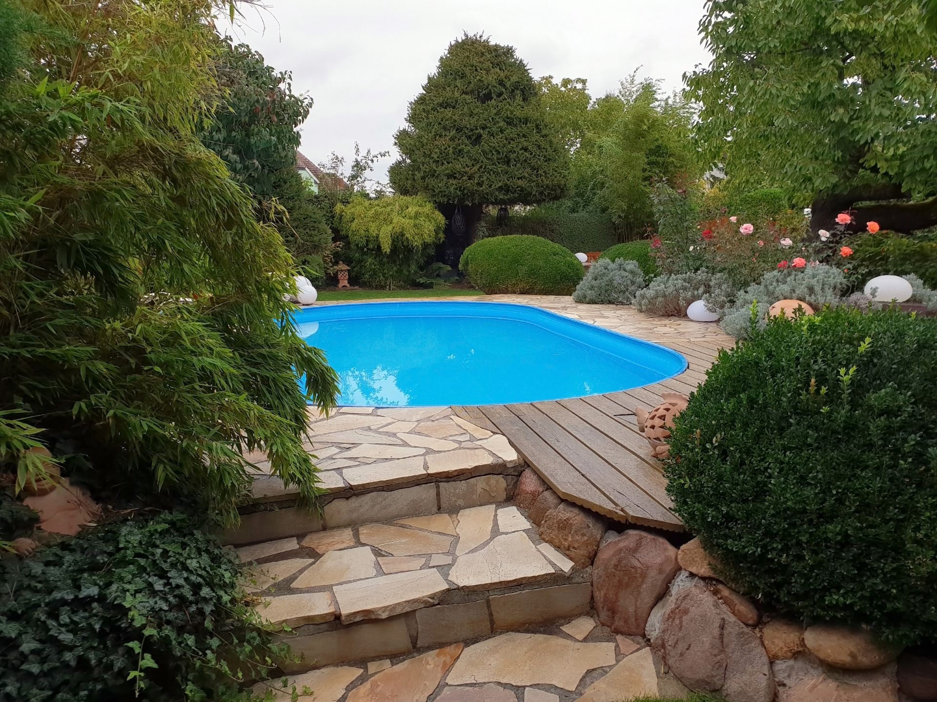 Pool in the private garden